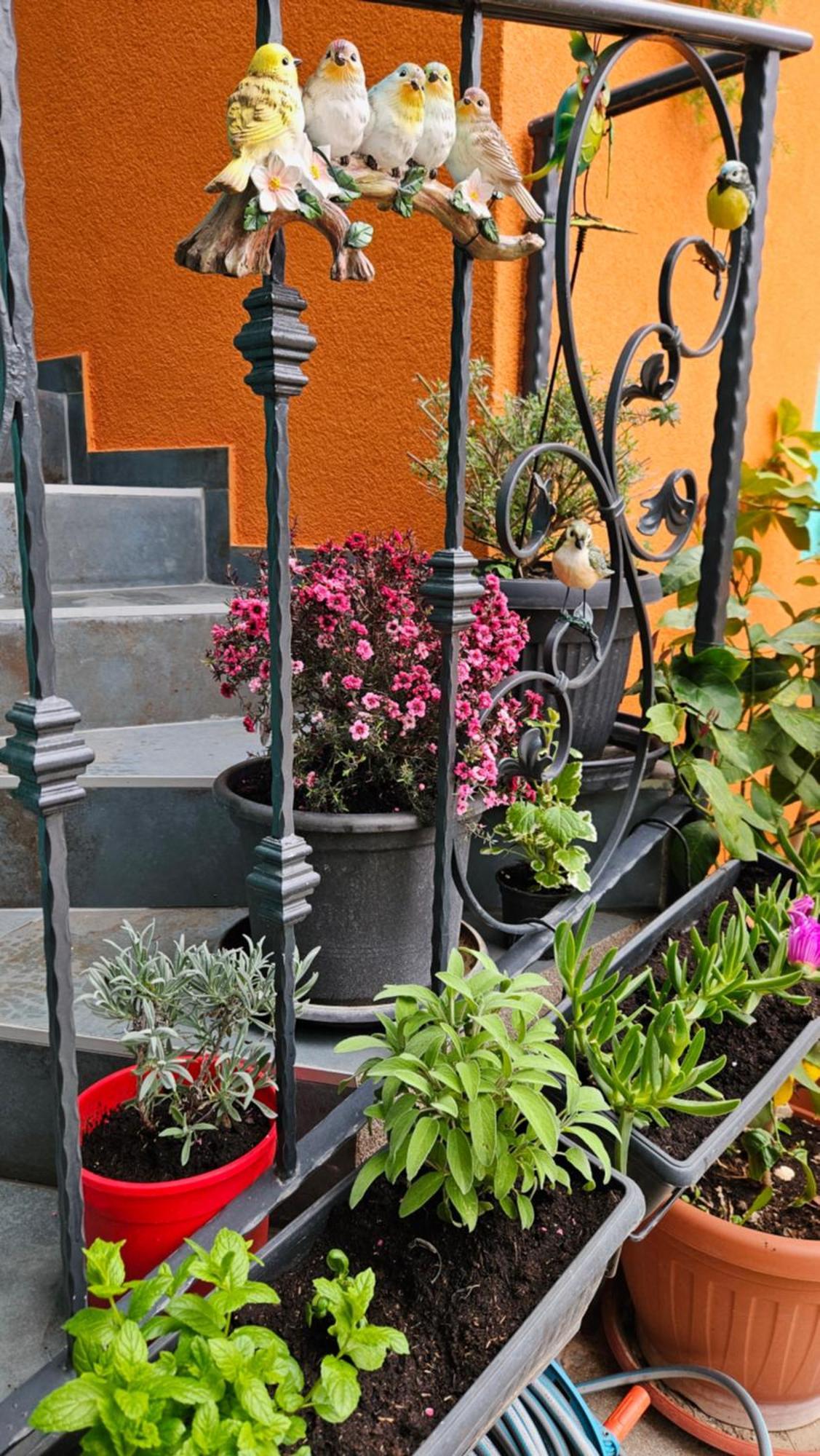Mexicana Apartment Pink Zadar Ngoại thất bức ảnh